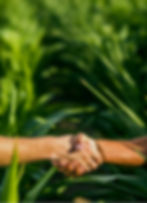 CETOSLIA BANNERS_Mesa de trabajo 1 copia 5.jpg