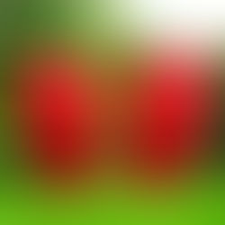 Wondering How To Find A Life Coach? What to avoid, what to seek out and how to give it your all