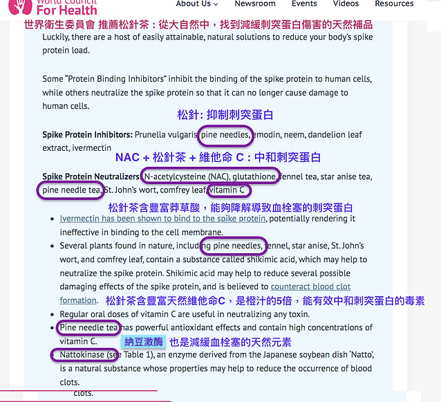 縮圖：新冠疫苗針後解毒-石墨烯-刺突蛋白-全方位排毒配方-槲皮素+鋅+維生素C+維生素D3+綠茶素+NAC+奶薊草+沸石+黑種草種籽+蝦青素+松葉菊+松針油