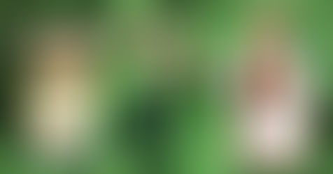 青蒿琥酯：新冠後遺症及苗後解毒