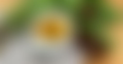 新冠解毒！松針茶幫助緩解血栓塞、心肌炎、心肺梗塞、消減痛楚、舒緩感染新冠的後遺症及疫苗副作用、刺突蛋白脫落傳播！了解莽草酸的神奇功效！ 