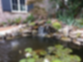 Koi Pond
