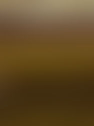 Worship Preview 3.22.26 "Lent 5: Sheep Lost and Other Flocks"