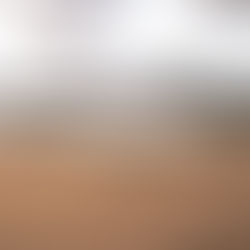 2.26.23 Sermon Transcript: Wilderness: Temptation and Testing