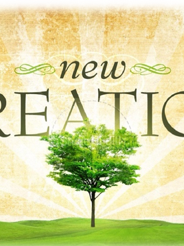 Worship Preview 7.6.25 "New Creation is Everything"