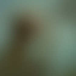 Sermon Transcript 5.29.22 "Do You Want to Become His Disciples, too?"