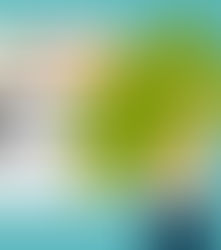 TARE GO - Termo de Acordo de Regime Especial