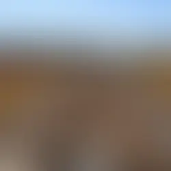 Mota-Engil negocia "superpacote" de infraestrutura: FIOL, Porto Sul e Mina de Caetité.