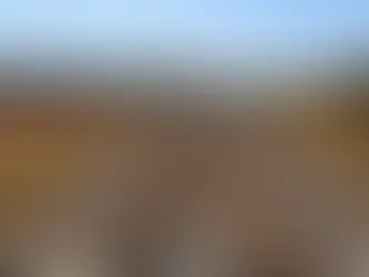 Mota-Engil negocia "superpacote" de infraestrutura: FIOL, Porto Sul e Mina de Caetité.