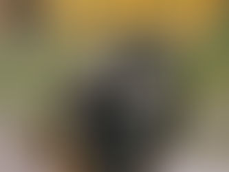 Evento Clandestino de "Grau" Preocupa Autoridades em Guanambi.