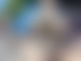 Idosa de 73 anos morre atropelada por caminhonete na BR-030, em Brumado.