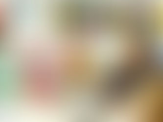 Ivana Bastos põe ALBA à disposição do Estado para combate à seca e queimadas na Bahia.