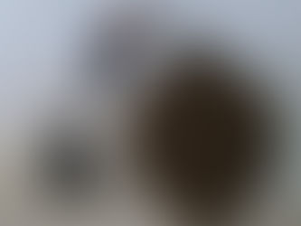 Suspeito morre após troca de tiros com a Rondesp e material é apreendido em Guanambi.