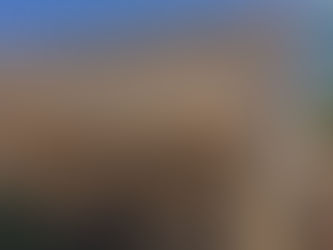 Réu é Absolvido em Júri por Homicídio em Palmas de Monte Alto.