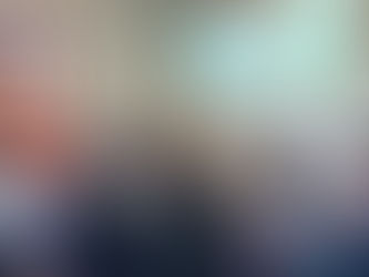 Conselho de Bem-Estar Animal de Guanambi debate novas políticas públicas.