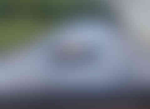 Concrete Border Projects