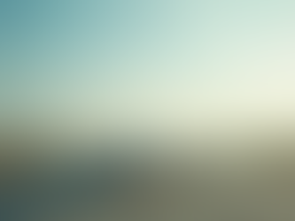 Best Practices in Air Operations