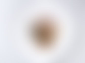  Meal Delivery 12/08/20 