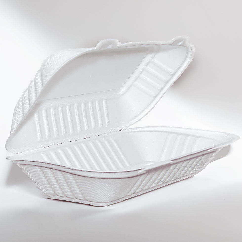 Thumbnail: 9"x6" Bagasse Takeaway Container