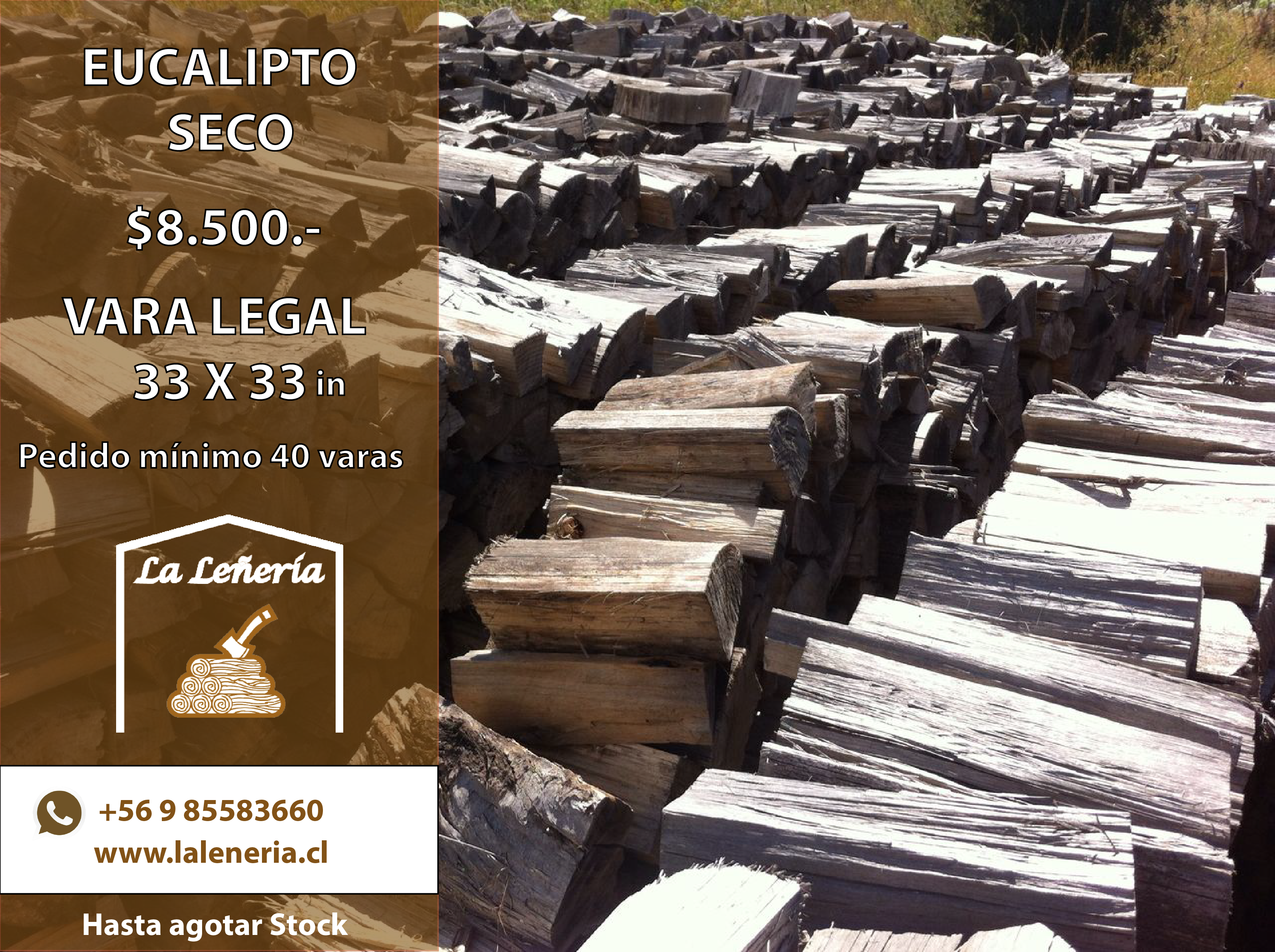 Leña Seca de Eucalipto