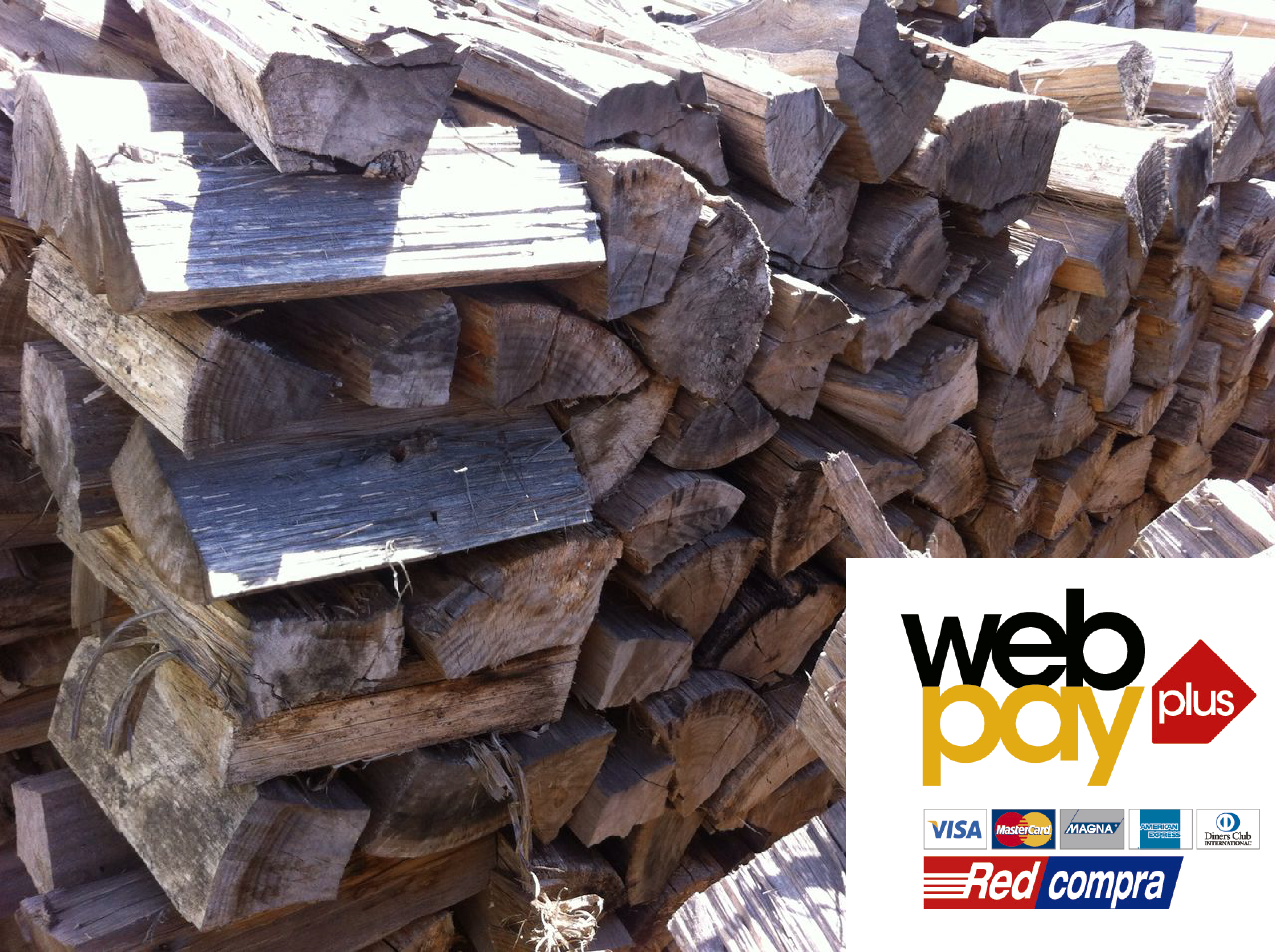 Leña Seca de Eucalipto