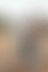 Gifford Pinchot State Park Engagement