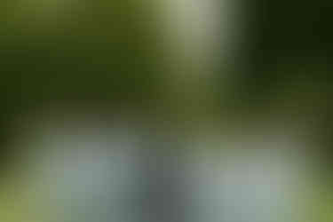 Cameron Estate Inn Bridal Party Photos