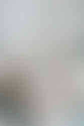 Stone Gables Estate Wedding Details