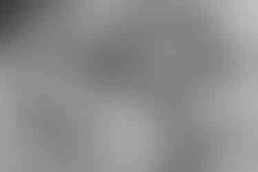 The Lodge at Mountain Springs Lake Wedding