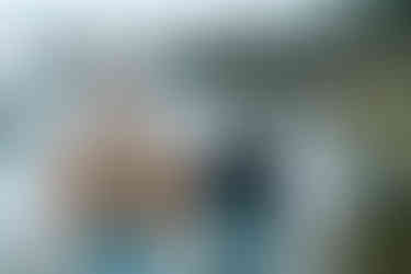 Gifford Pinchot State Park Engagement