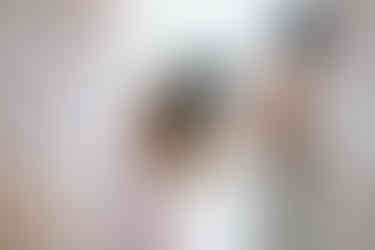 Getting ready at Box Hill Mansion