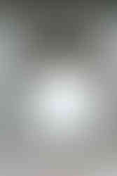 Valley Forge National Park Engagement Photos