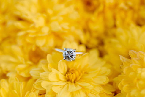 Hershey Gardens Engagement Photos