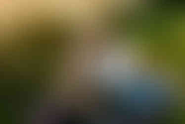 Ballas Park Engagement