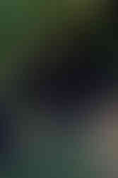 Stone Tower Winery Engagement