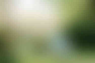 Conestoga House and Gardens Proposal