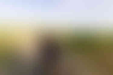 Stone Tower Winery Engagement