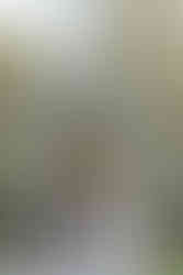 St. Michael's Vineyard Wedding