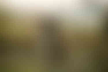 Lancaster PA Engagement Photos