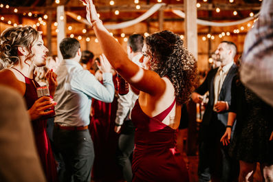 Spring Valley Farms Wedding Reception