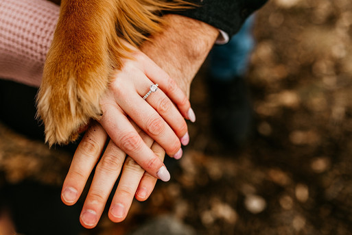 Pinnacle Overlook Engagement