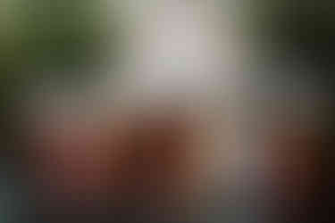 Fall Wedding Bridal Party Inspiration