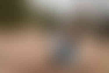 Gifford Pinchot State Park Engagement