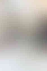 Wyndridge Farm Wedding