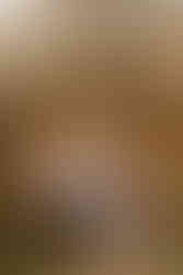 Stone Tower Winery Engagement