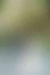 Cameron Estate Inn First Look