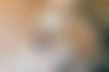 Elkins Estate Wedding