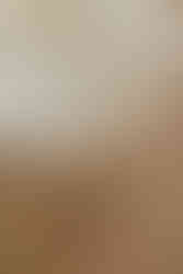 Bohemian Wedding Details