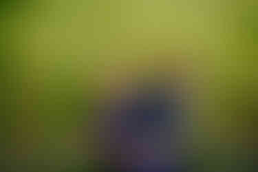 Stone Tower Winery Engagement