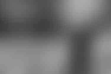 Washington DC Wedding